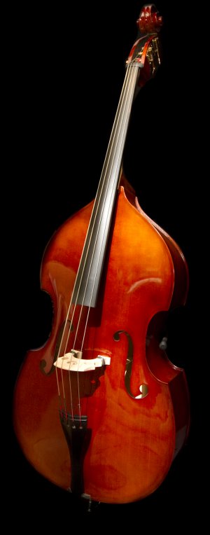Estle Louis Laminated Bass